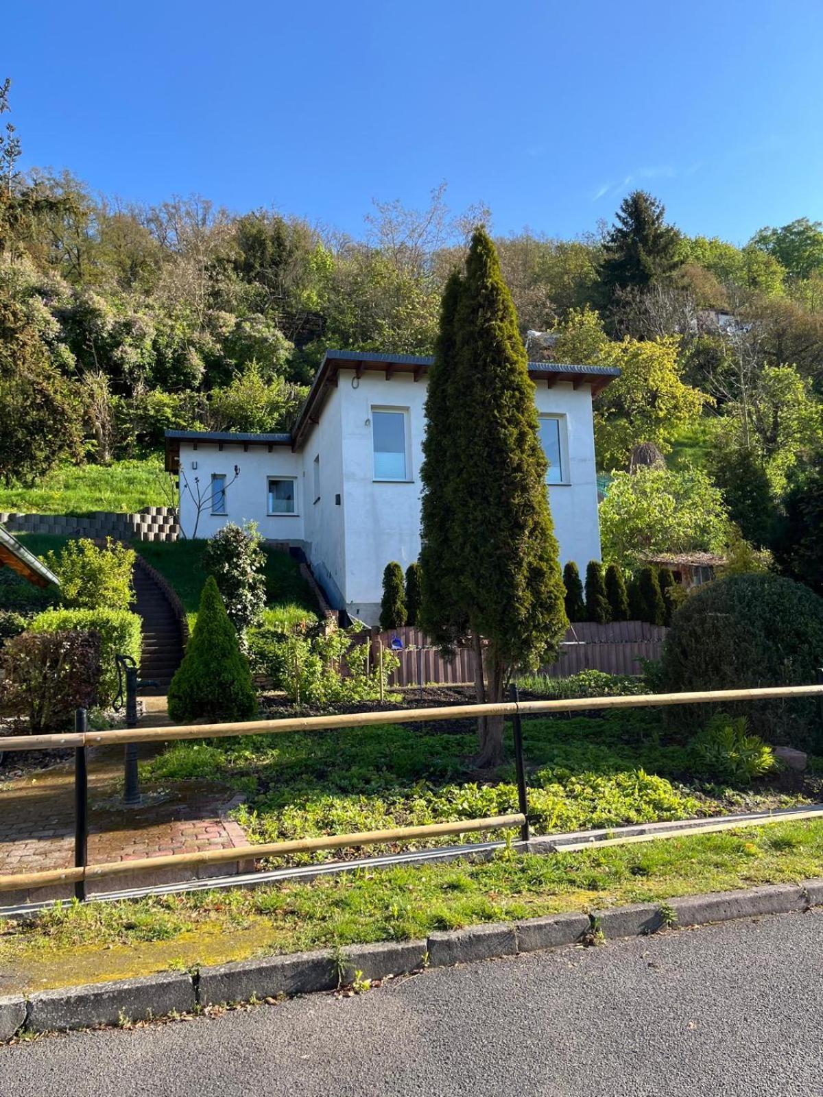 Ferienhaus Soleblick バート・ザルツンゲン エクステリア 写真